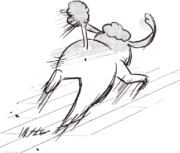 松本ひで吉さんのイヌイラスト