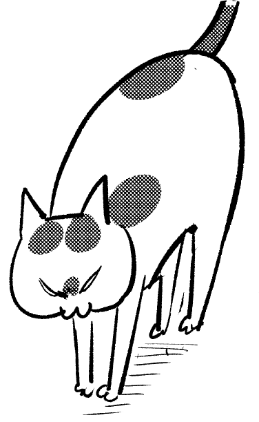 松本ひで吉さんのネコイラスト