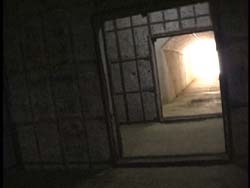 ���˓�������Ɏc�鋌���R�e��ɐ�