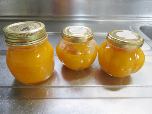 ほぼ日刊イトイ新聞 - イタリアンマンマの直伝レシピ