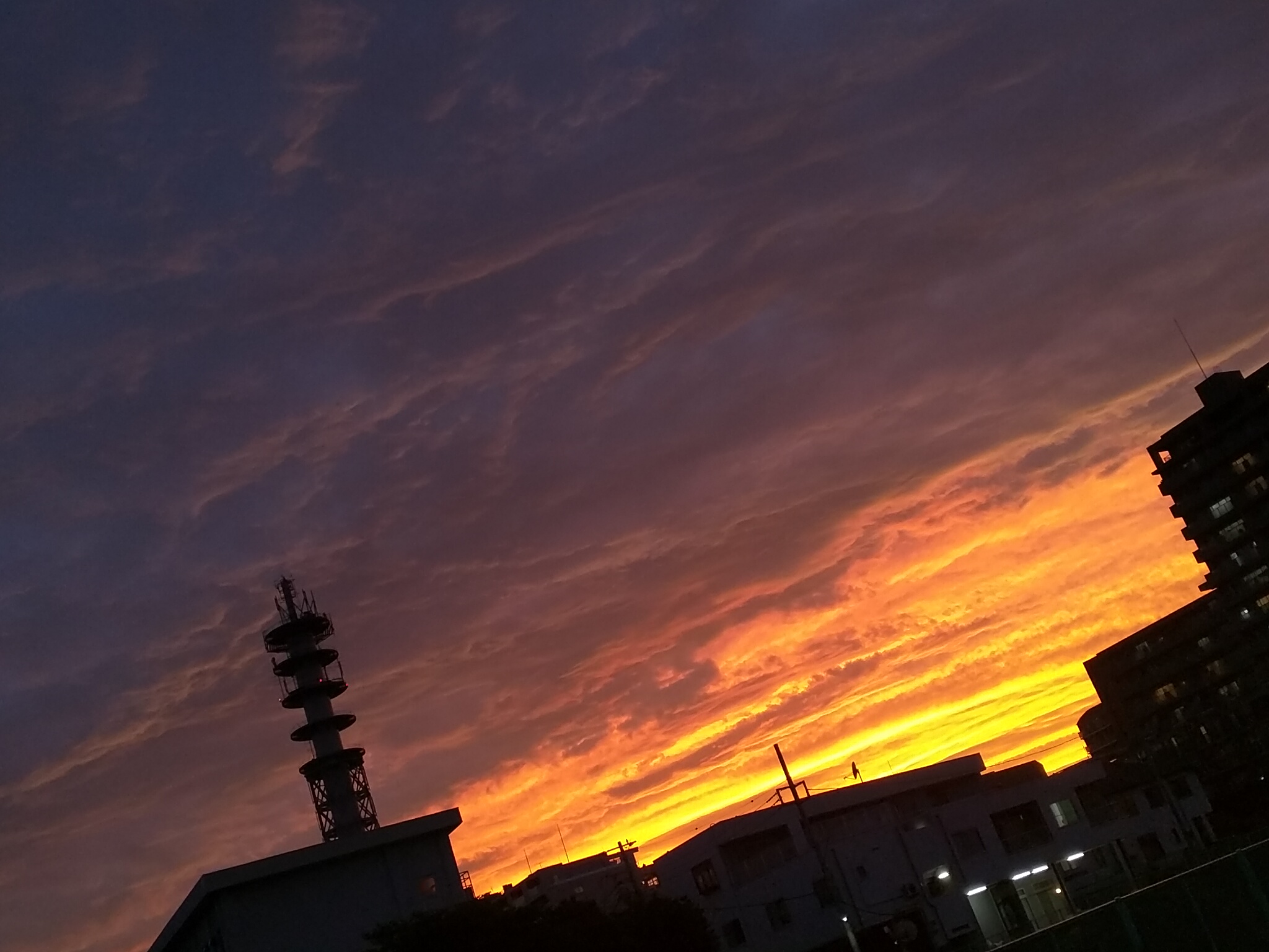 「家」が好き。