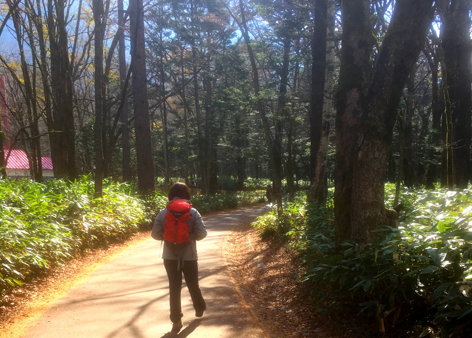 我が家のジャイ子