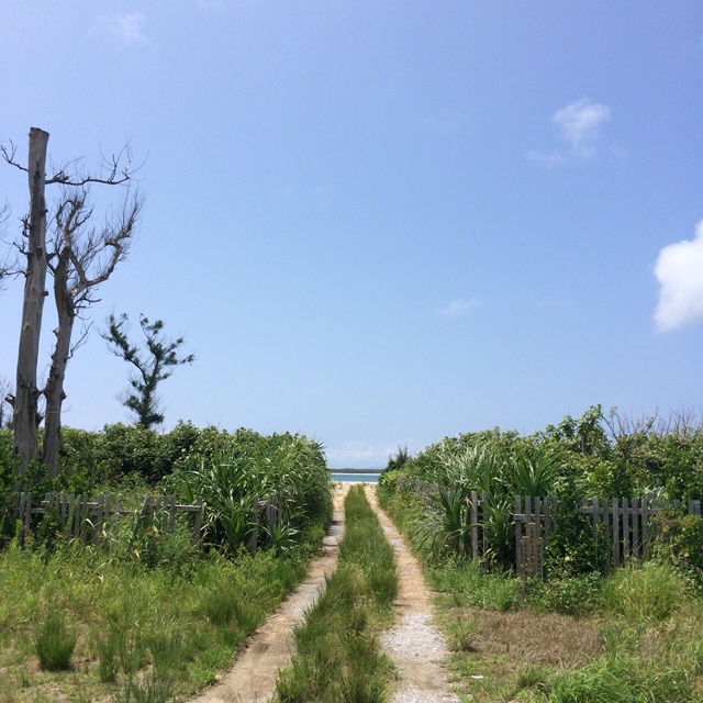 私の好きなもの</br>人の前で話すこと