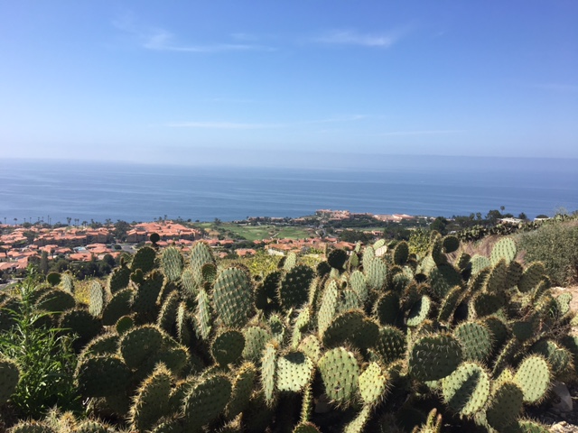 言葉にできるまで。