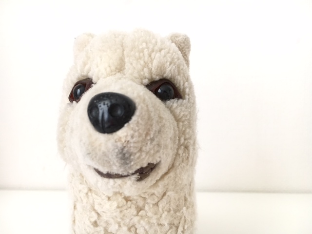 ぬふぃーとわたし