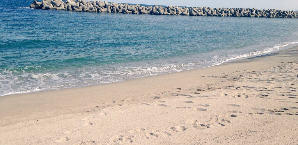 わたしの好きなもの</br>『旅と音楽』