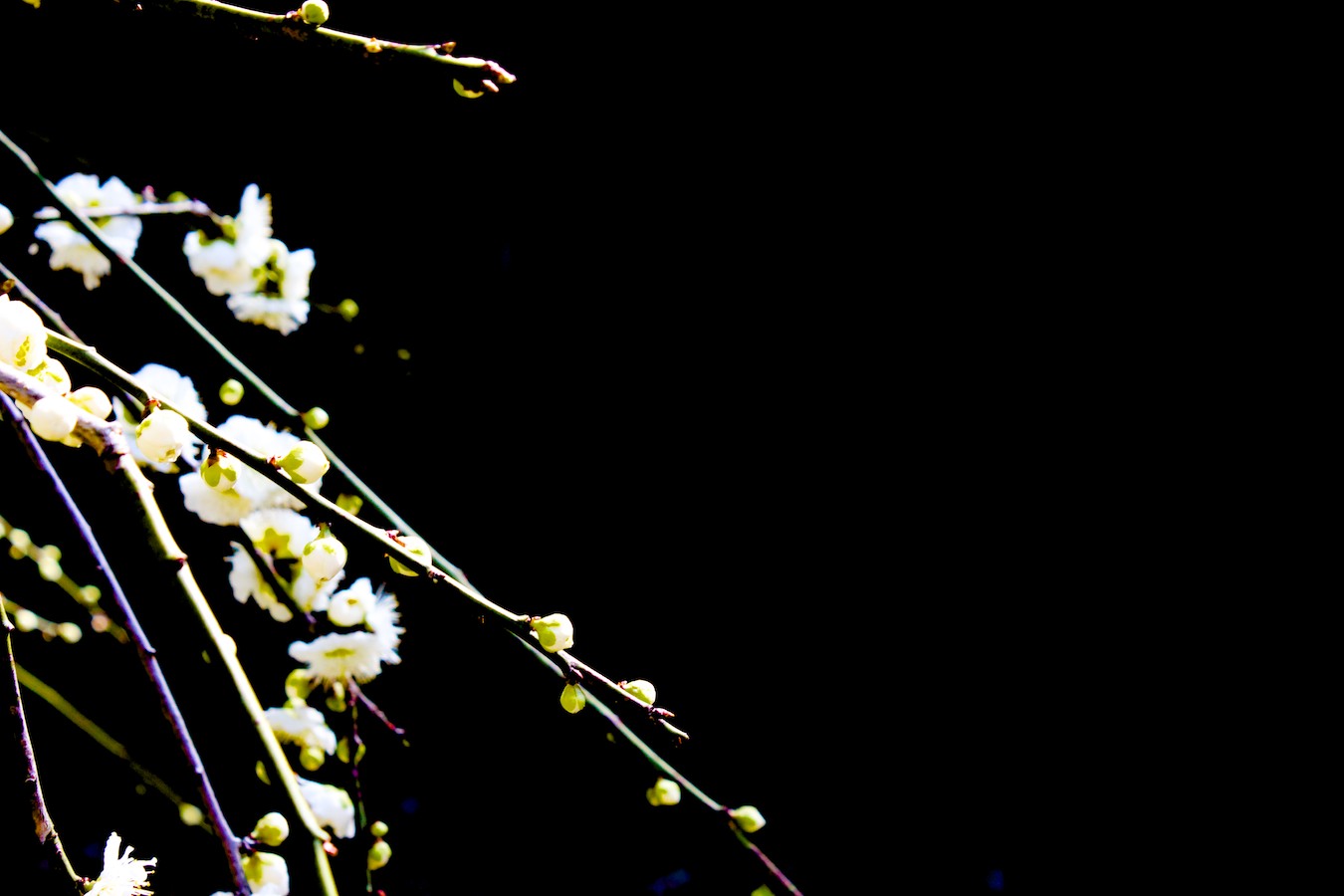 ポケットに短歌を