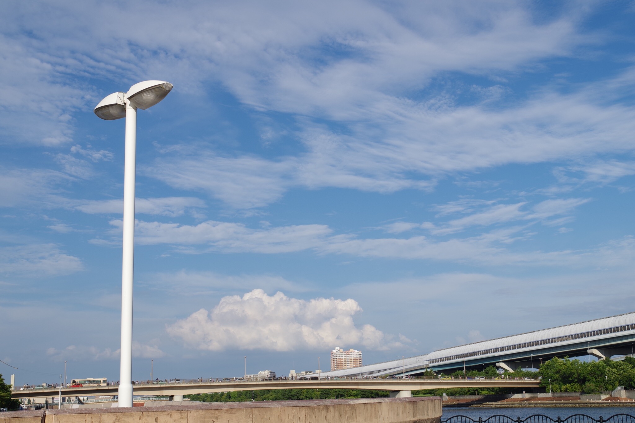 ぼくのおじさん。