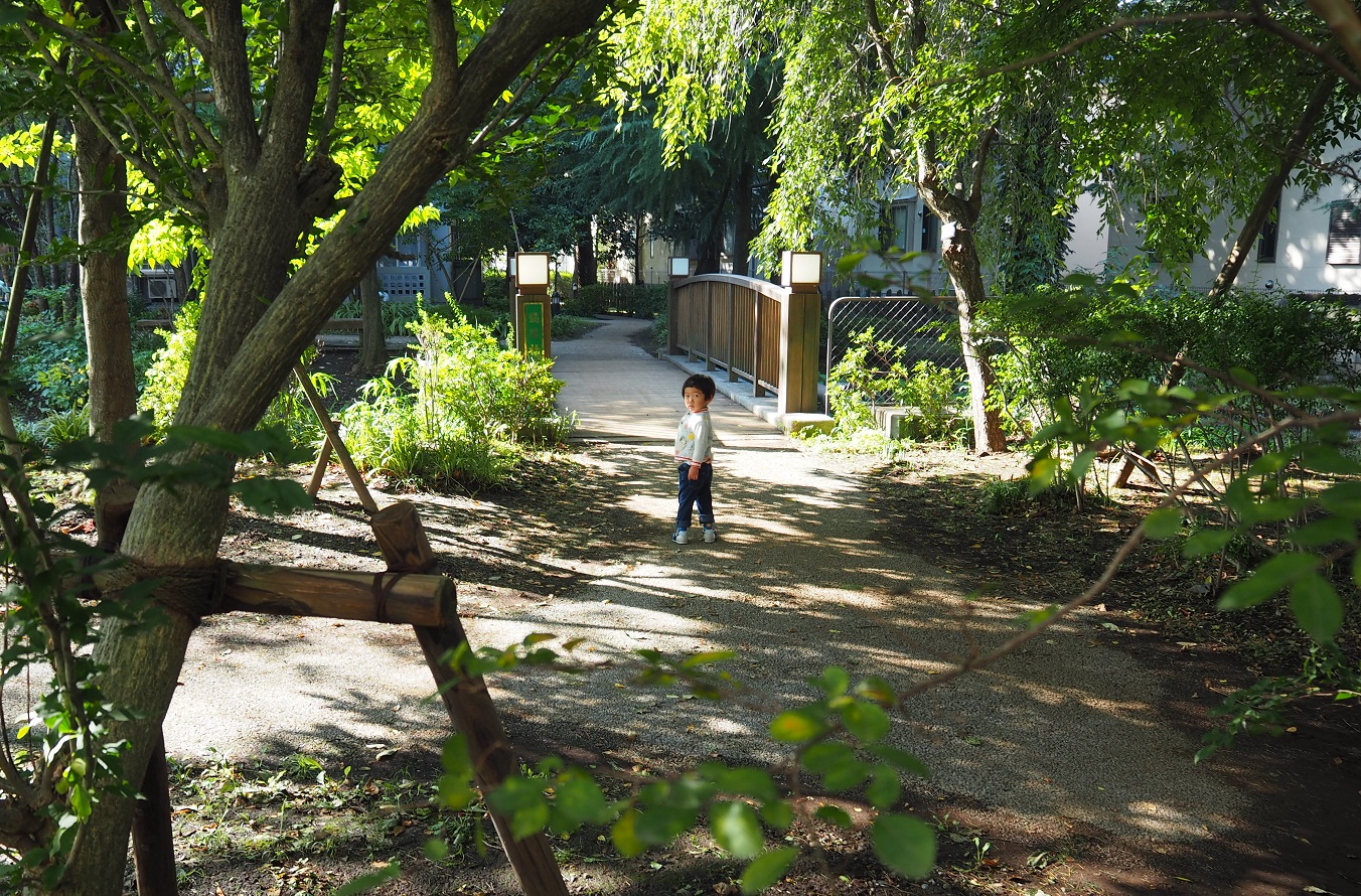 ぼくの好きなもの</br>息子と歩く朝の200メートル