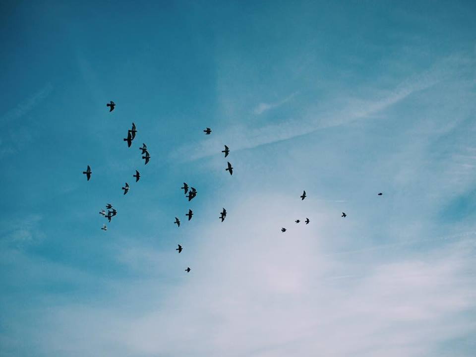 私の好きなもの</br>ニューヨーク