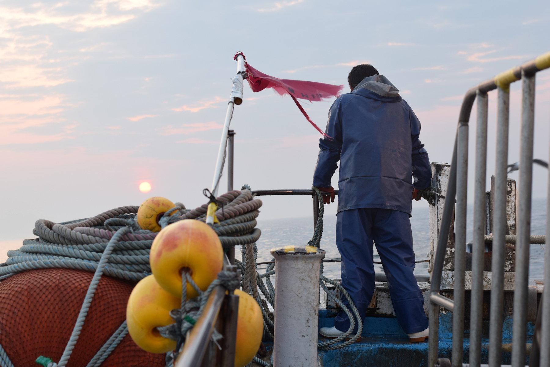 私の好きなもの</br>写真撮影