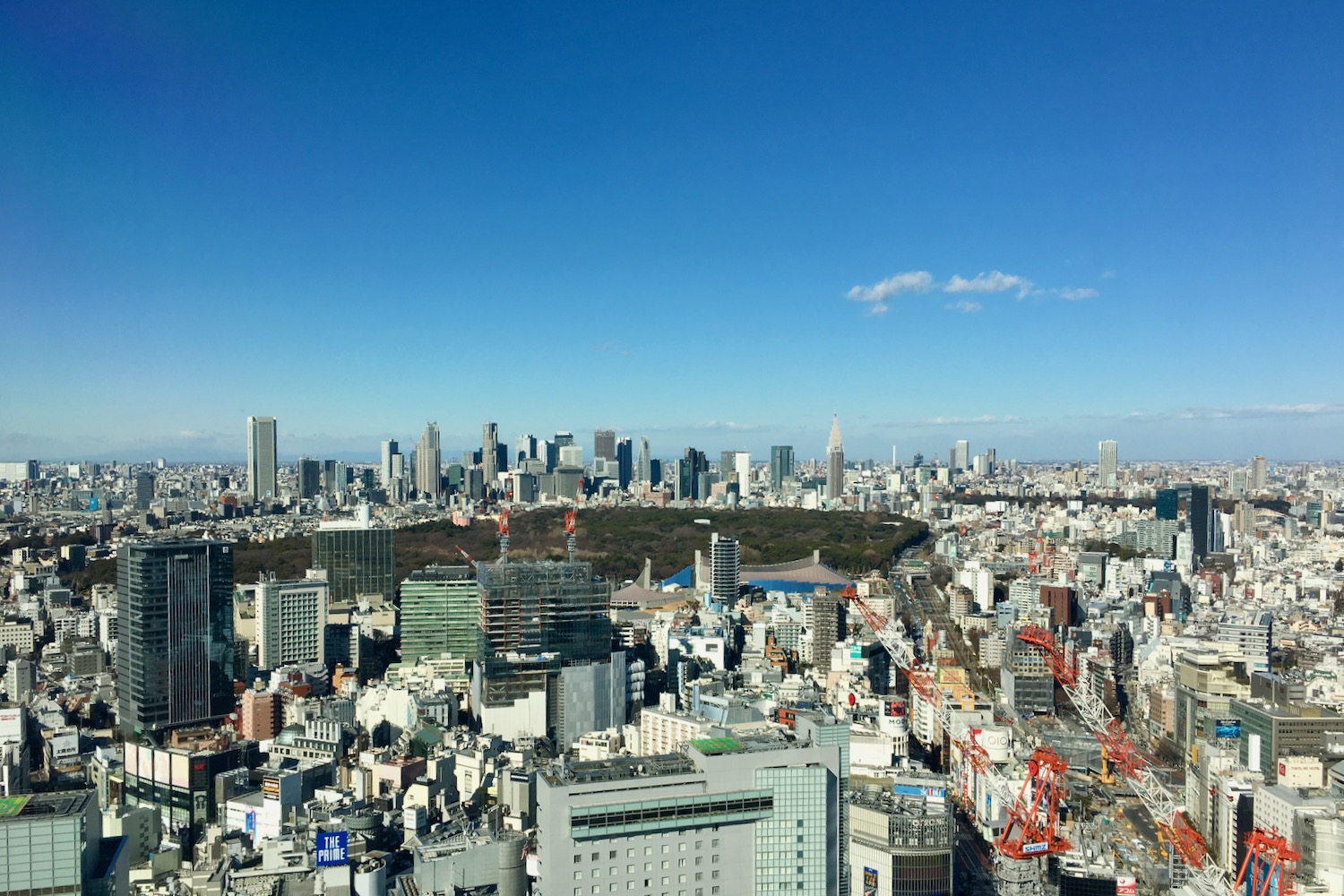 パクさん、</br>お休みの日の朝ごはん</br>見せてください！