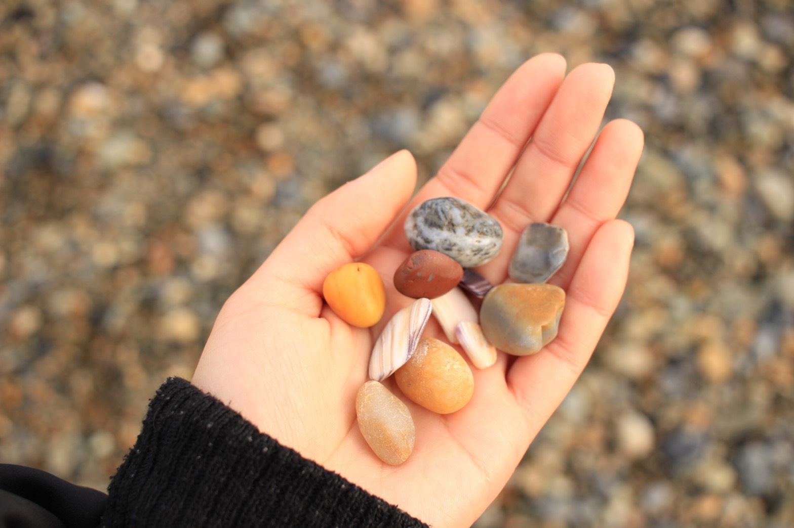 私の好きなもの「選ぶこと」