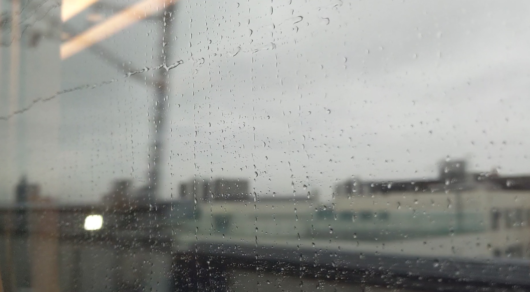 「やさしさ」ってなんだろう。