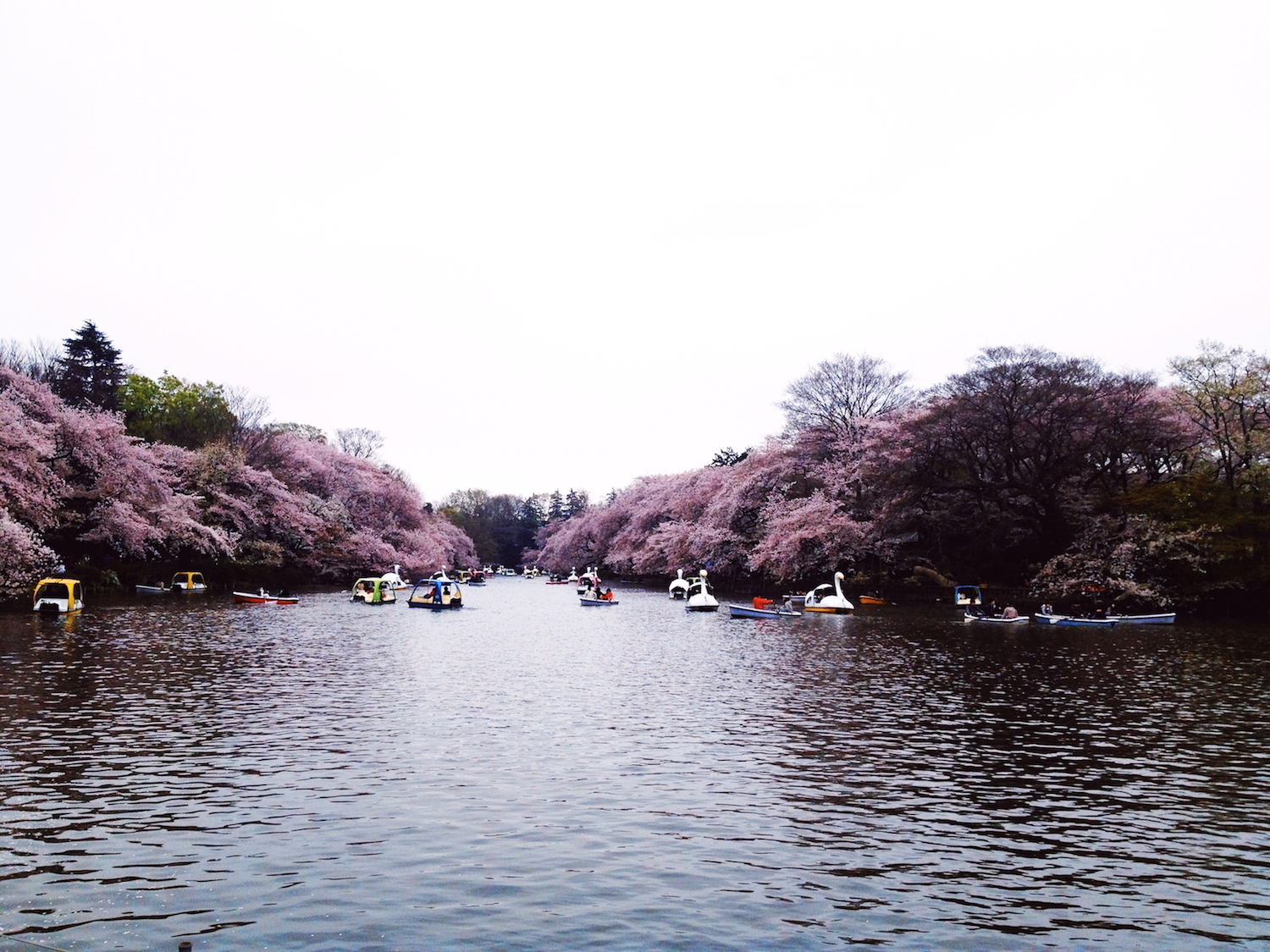 中央線で過ごした10年。