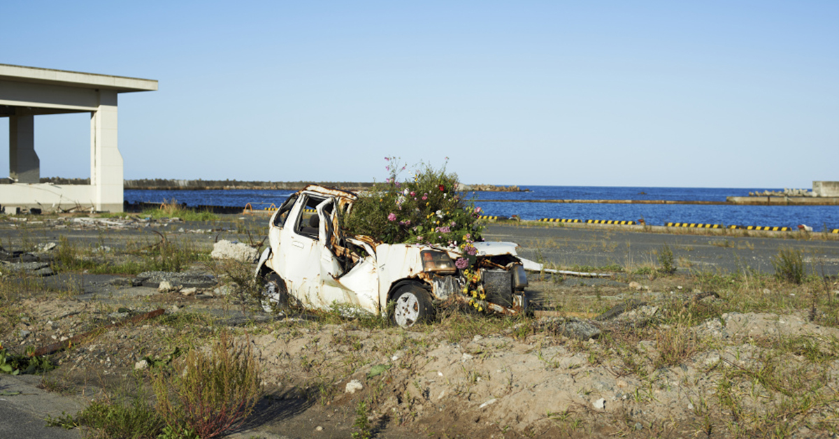 片桐功敦さんが生けた、福島の花。