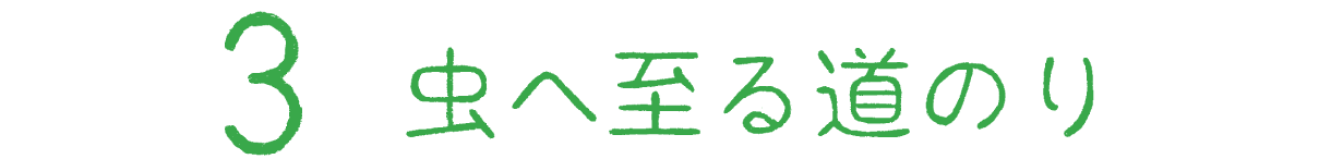 3　虫へ至る道のり