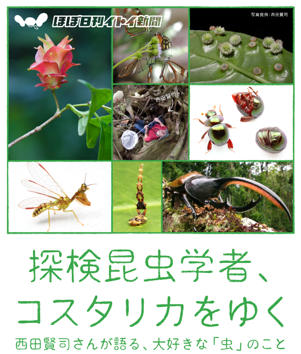 ほぼ日刊イトイ新聞 探検昆虫学者、コスタリカをゆく　西田賢司さんが語る、大好きな「虫」のこと　写真提供：西田賢司