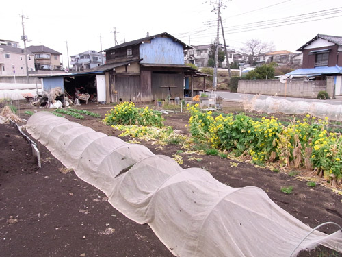 �w����10�����炢�� �܂�肪����ȕ��i�Ɂd�d