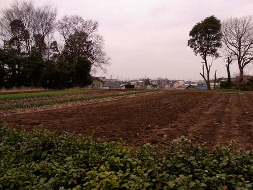 �y�̂ɂ������Ղ�Ղ�B ���N�o�ƃA�p�[�g��}���V�������o���Ă��܂��̂��ȁ`�B