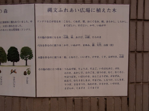 �A�؂̕����B �u���̑��̖��ɂ����؁v���`�B ���ɗ����Ȃ����؂��C�̓łȋC������d�d�B