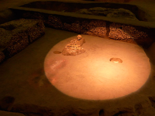 �����Ȃ�I �����X�|�b�g���C�g�����тĂ��܂��B