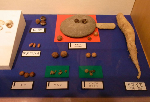 �H�ׂĂ����؂̎��ނ�A