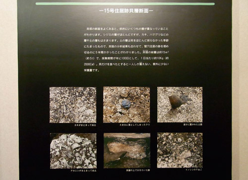 15���Z���ł́A�P�������� �L���10kg����2000�J�����[�H�ׂĂ����v�Z�ɁB �ł��Ƒ��ŕ�������A�J�����[���Ⴂ�I �L�����C���f�B�b�V������Ȃ������񂾁B