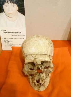 �R�O�Α�ŖS���Ȃ��Ă���̂�����A ���낢���J���Ă��̂�������܂���B