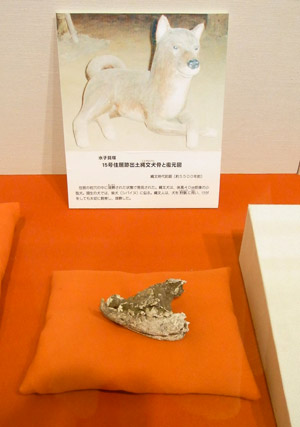 �����ƁA�L�~�͑�؂ɂ���Ă����񂾂ˁB  �i�����܂��j