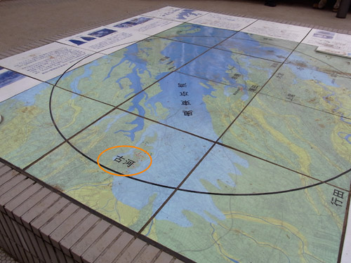 �����Ă���ς�É͂ցI