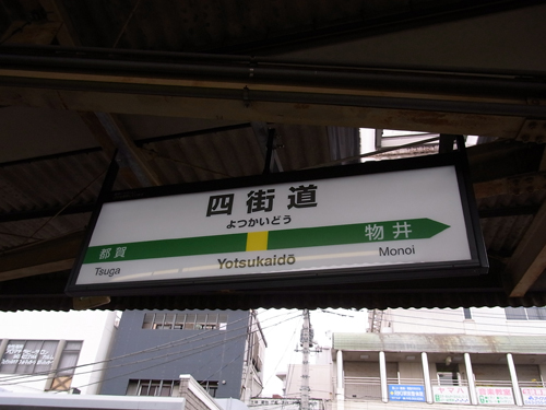 ���͂₭�����̎�����o�܂����B ��t�w�ŏ�芷���A�l�X���w�ɓ����ł��B