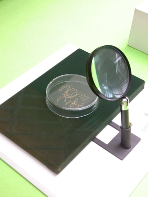 ���H�@���̂ɂ��ɂ��́H