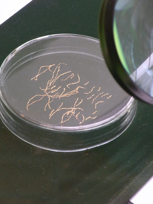 �����������ł���I �Õ����������ȁd�d �悭�c���Ă��܂��ˁB 