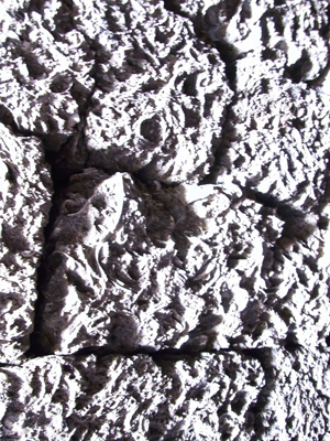 �����̕\�ʂł��I �����I�Ȃ����Ă���� �L�̉��΂łł�����Ȃ̂ł��B