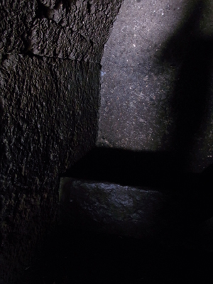 ������ƈ����Č��Ă݂܂����B �́[�A�ǂ��ǂ��B