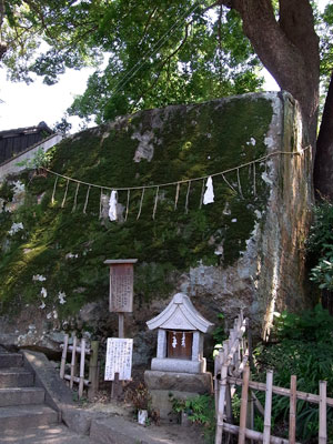 �傫�Ȋ₪�J���Ă��܂��B ����A�ЂƂ����܂�̊�H