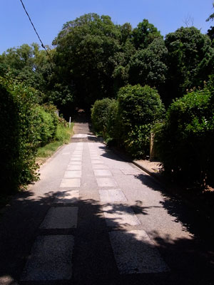 �͂��͂��d�d�B