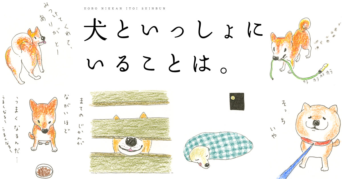 犬といっしょにいることは ほぼ日刊イトイ新聞