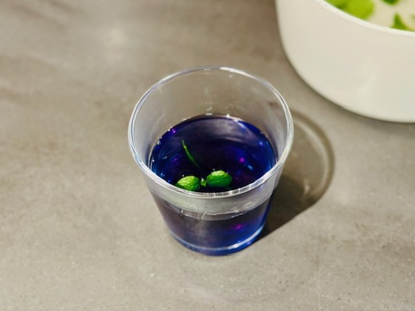 ハーブティ「ON T'ADORE」を使って カラフルクッキング ！ - ほぼ日