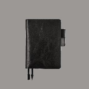 レザー・TSブラック 2016