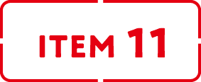 ITEM 11