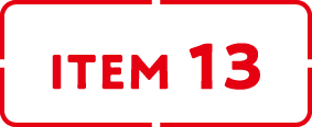 ITEM 13