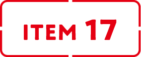 ITEM 17