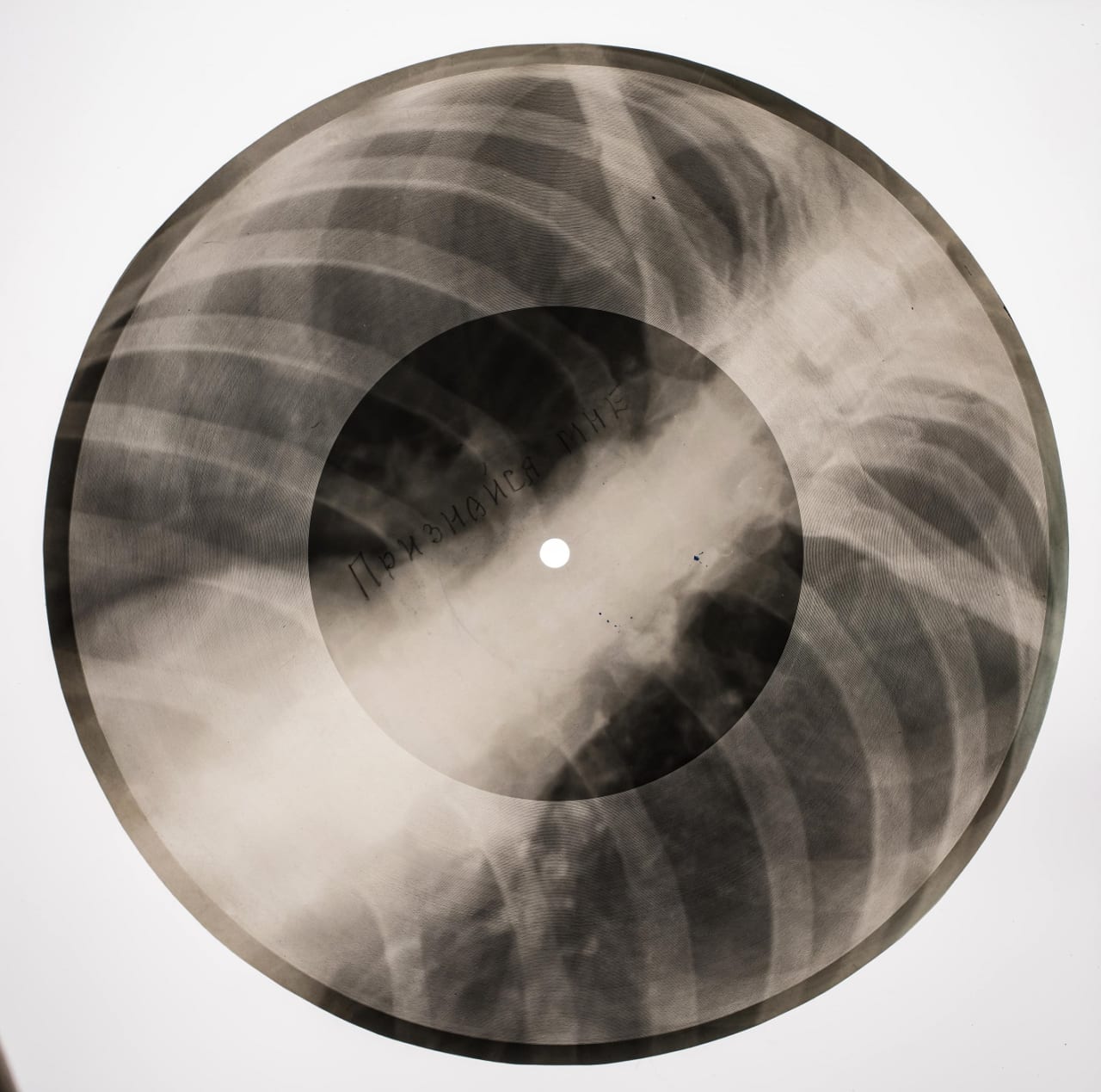 ボーン・レコード　Ⓒ Photography by Paul Heartfield