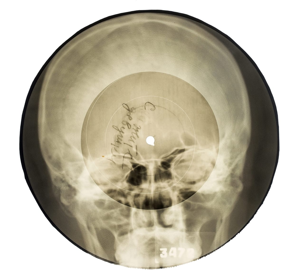 ボーン・レコード　Ⓒ Photography by Paul Heartfield