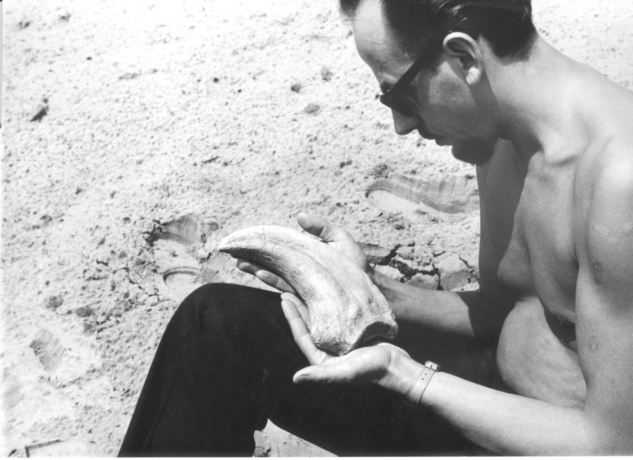 デイノケイルス発掘現場（1965年）