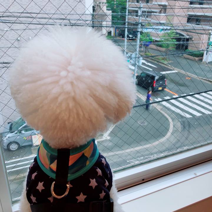 Dokonoko - フミぷち