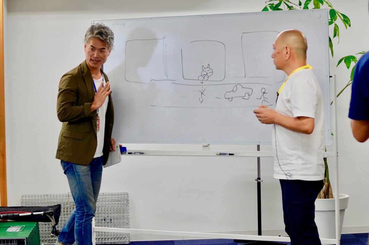 ▲猫は壁沿いが基本。