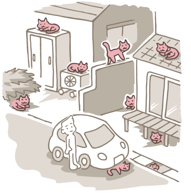 ▲たいてい、このどこかにいる。見つけたい。